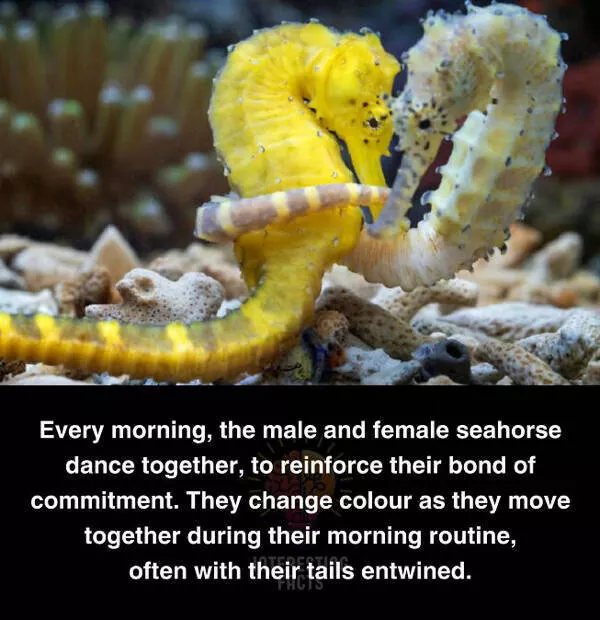 Fascinating random facts that will amaze you - #29 