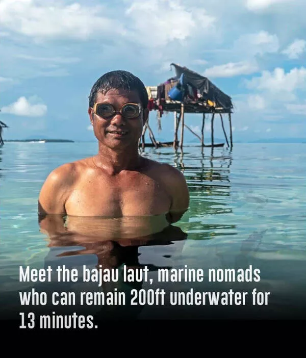 Fascinating random facts that will amaze you - #7 