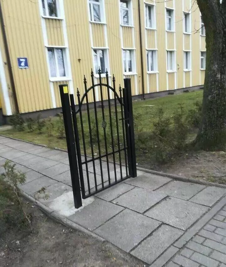 Picdump 869 - #30 
