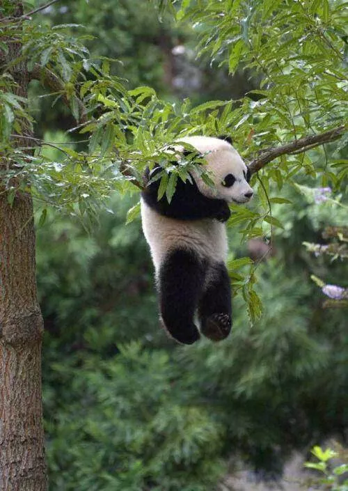 Picdump 869 - #37 