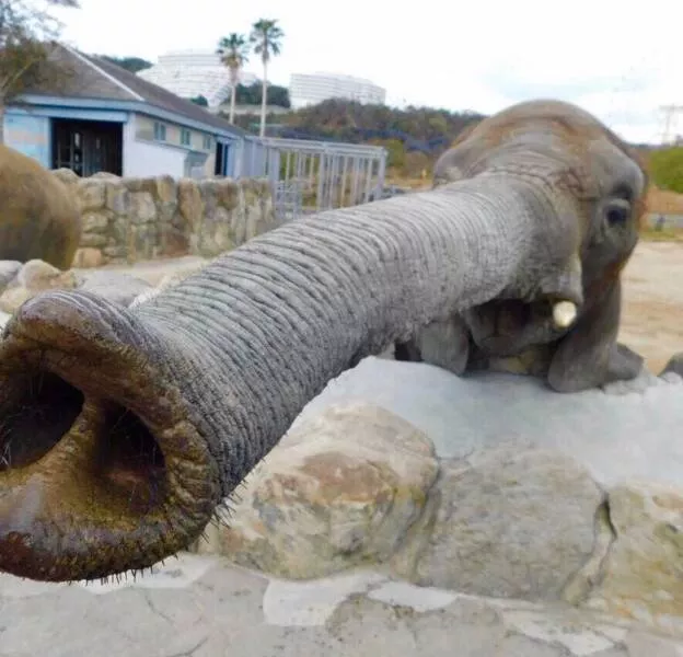 Picdump 869 - #39 