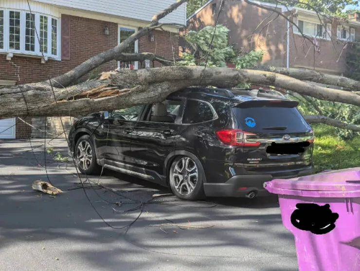 Quand les mauvais jours frappent des moments qui nous eprouvent - #10 Nous avons acheté la voiture il y a deux semaines