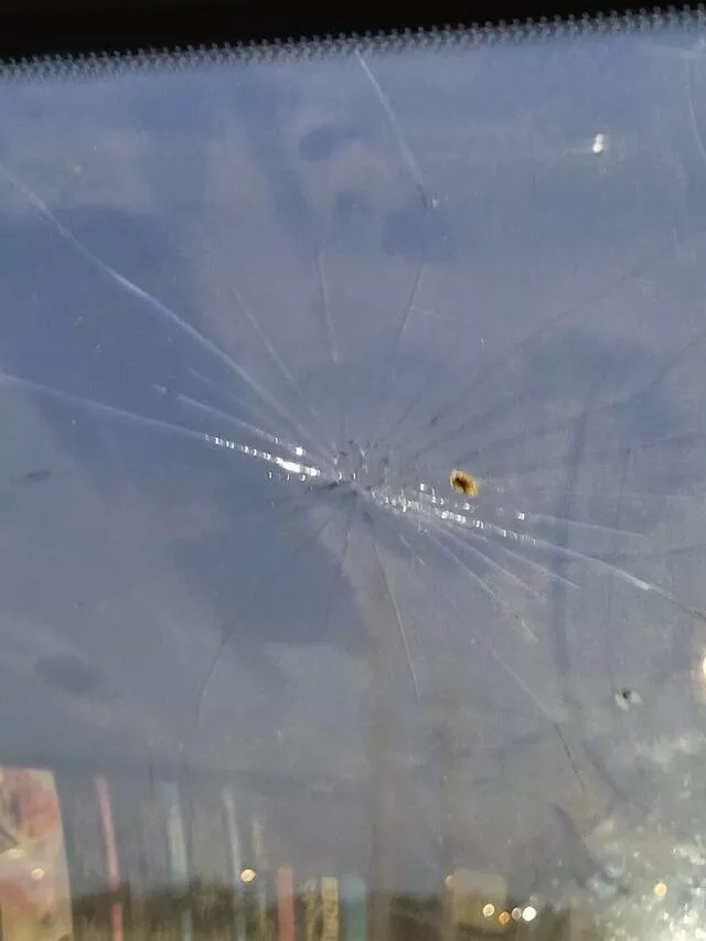 Quand les mauvais jours frappent des moments qui nous eprouvent - #16 Un papillon de nuit est entré dans la voiture, et ma femme voulait que je m'en occupe. Eh bien, je l'ai fait....
