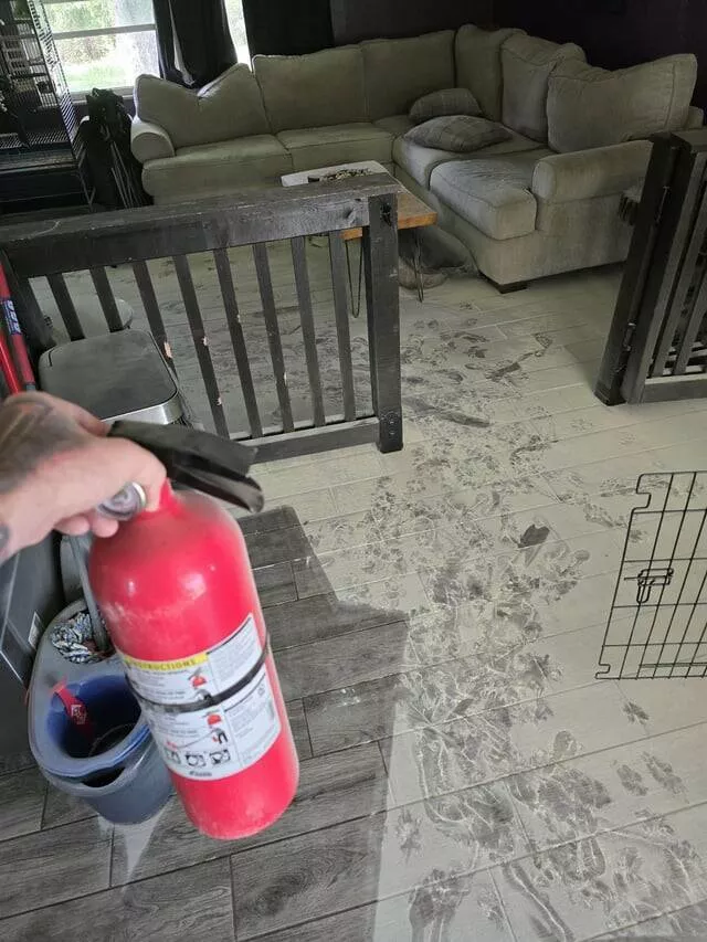 When bad days hit moments that test us - #27 New puppy knocked over the trash can and the fire extinguisher... Good morning, chaos is everywhere