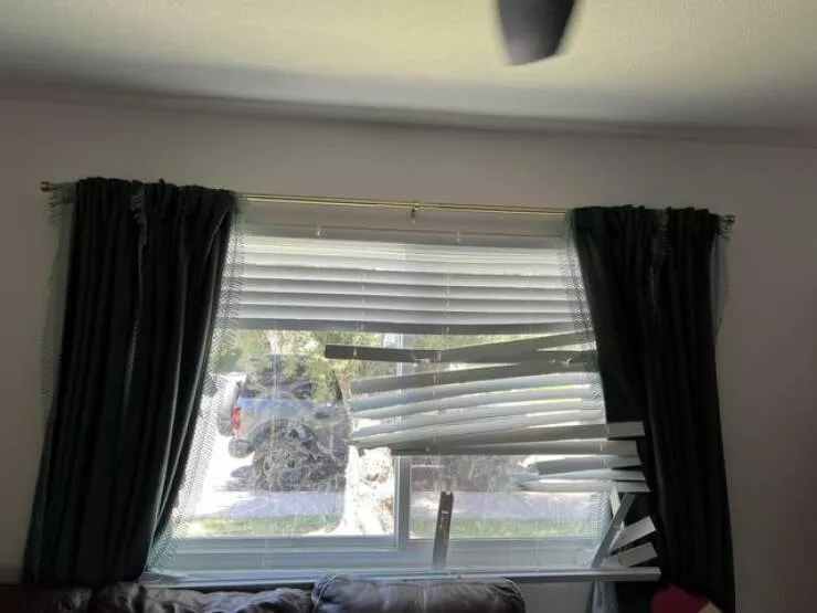 When bad days hit moments that test us - #31 Our new dog shredded our custom wood blinds
