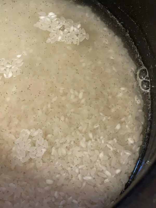 Quand les mauvais jours frappent des moments qui nous eprouvent - #5 C'est pour ça qu'on lave notre riz