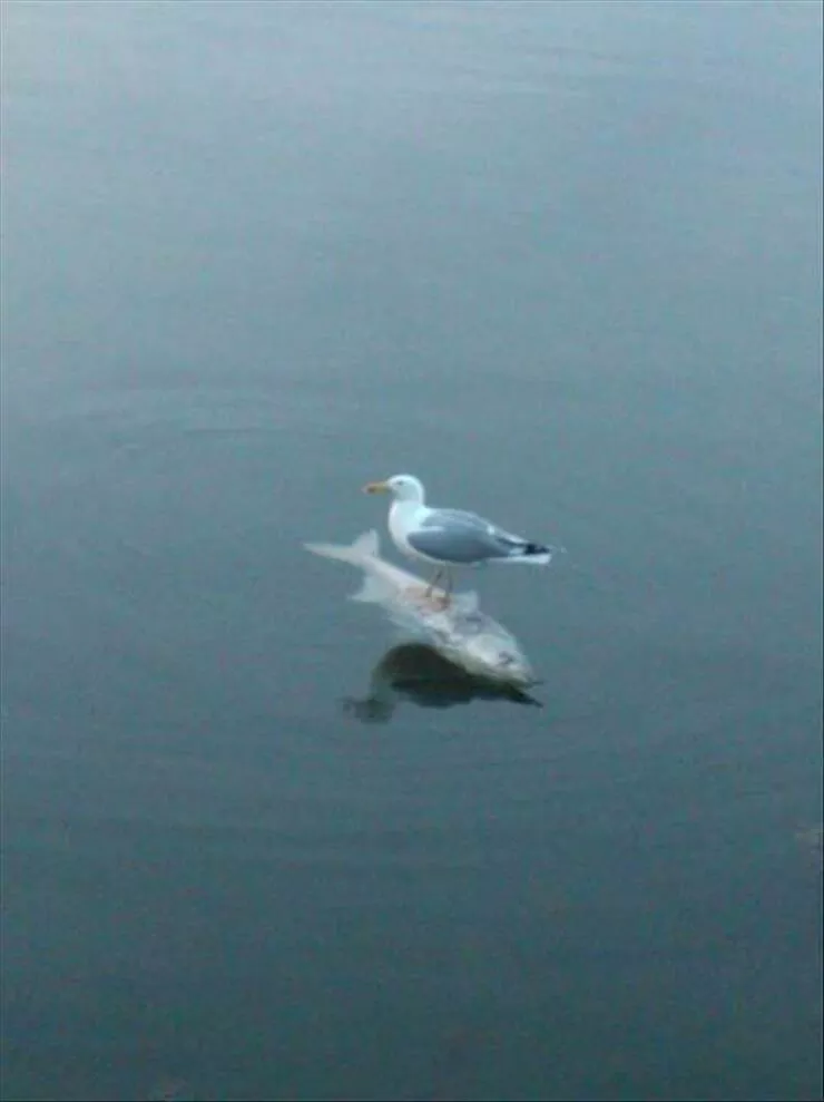 Picdump 870 - #2 