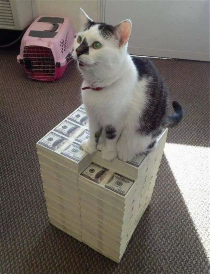 Picdump 870 - #21 