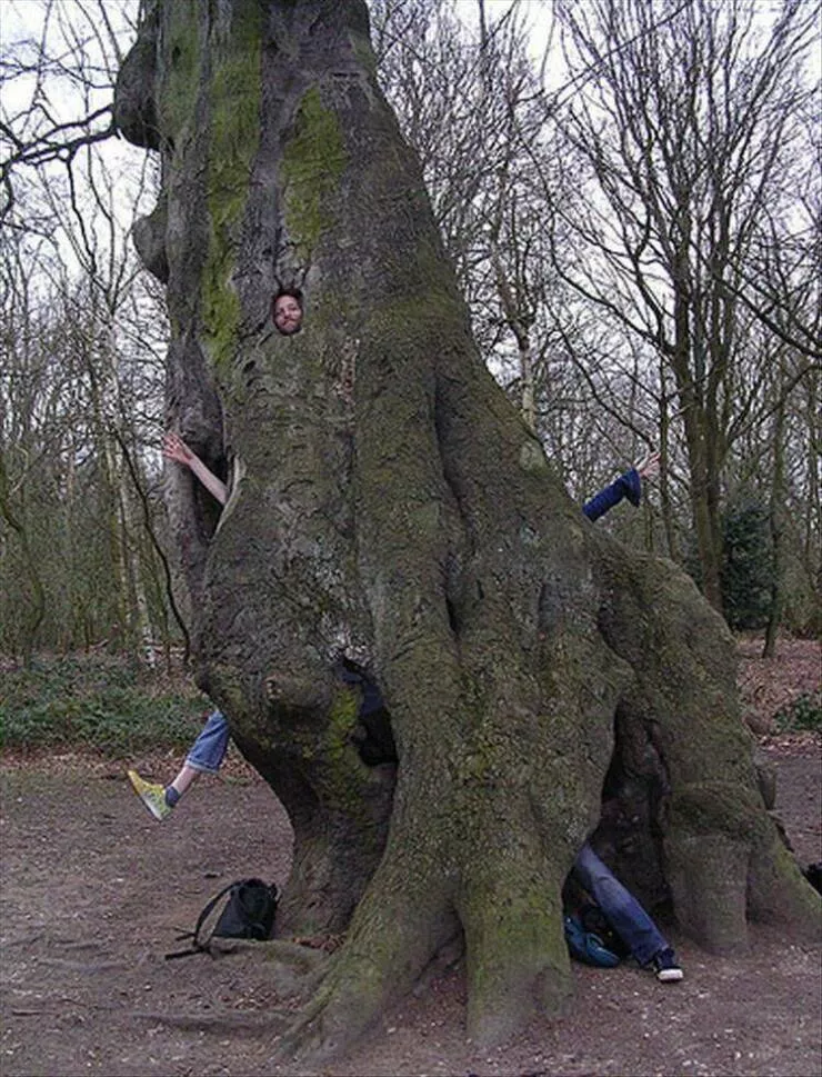 Picdump 870 - #33 