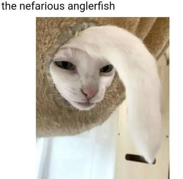 Try not to laugh hilarious moments you cant resist - #40 