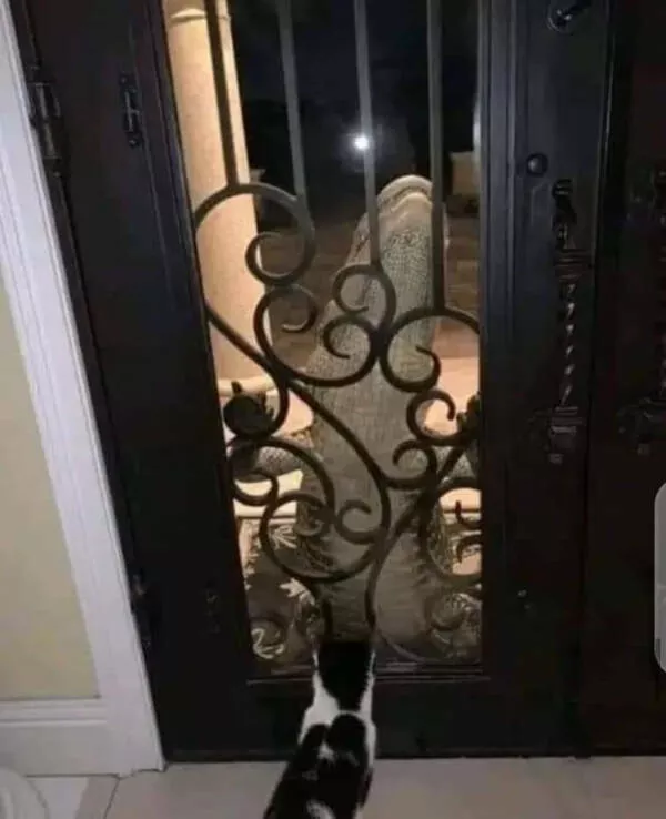 Curious moments that make you say hmmm - #10 