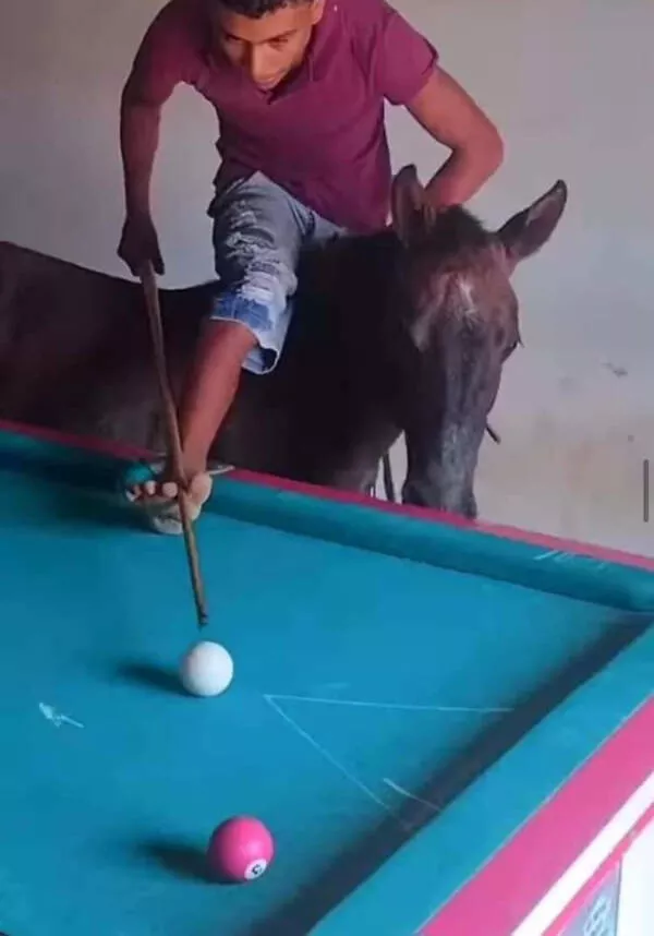 Curious moments that make you say hmmm - #13 