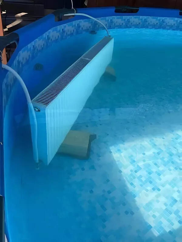 Curious moments that make you say hmmm