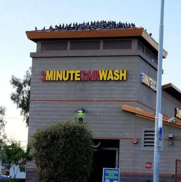 Curious moments that make you say hmmm - #39 