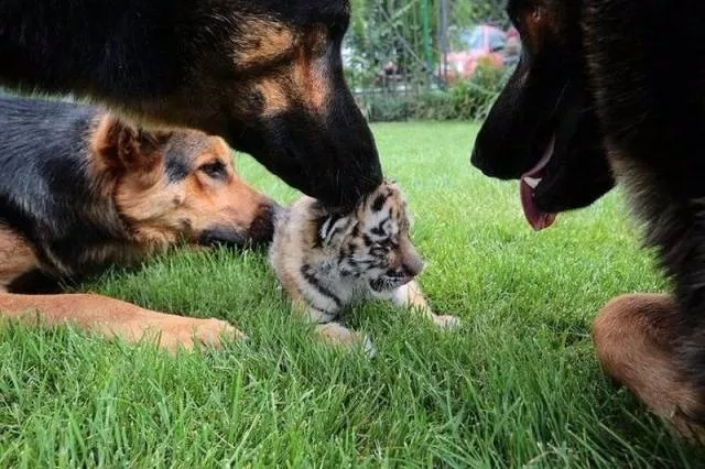 Picdump 113 - #14 