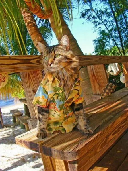 Picdump 113 - #37 