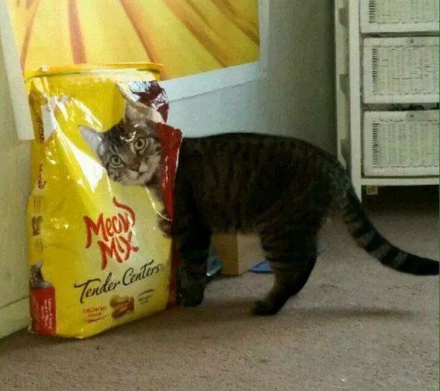 Picdump 113 - #4 