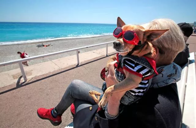 Picdump 113 - #9 