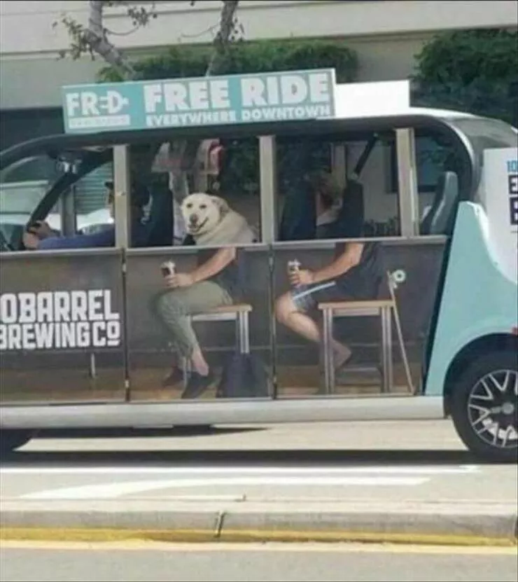 Picdump 872 - #14 