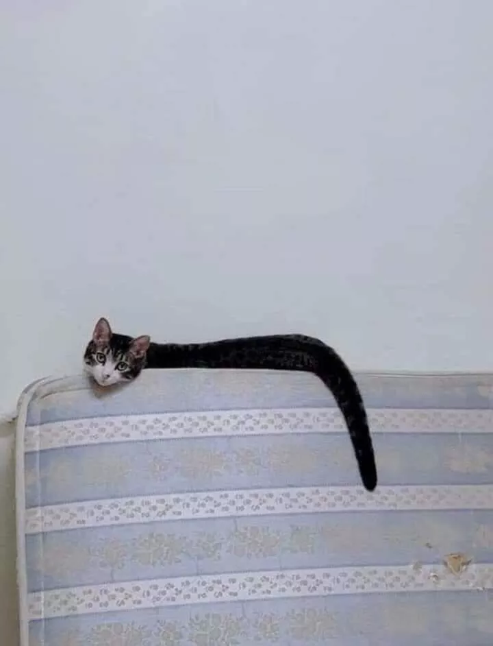 Picdump 872 - #3 