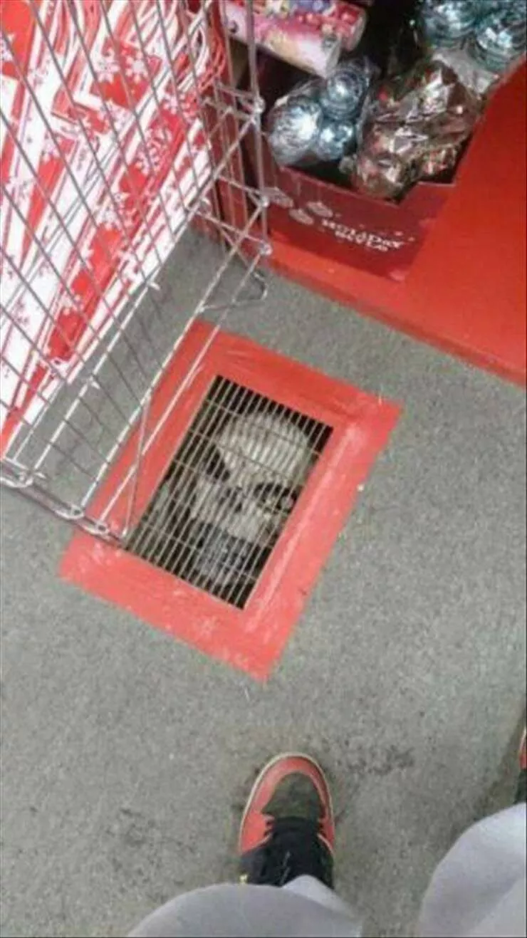 Picdump 872 - #37 