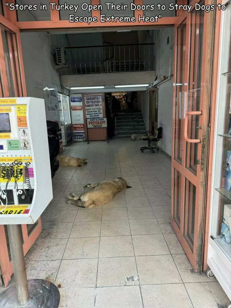 Picdump 872 - #47 