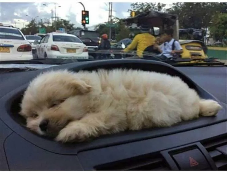 Picdump 872 - #8 