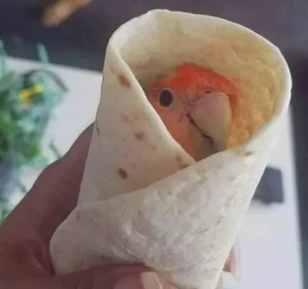 Picdump 873 - #14 