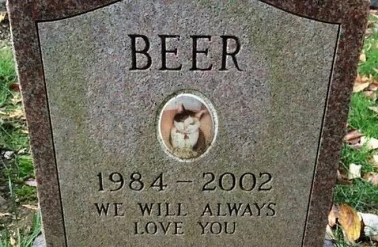Picdump 873 - #26 