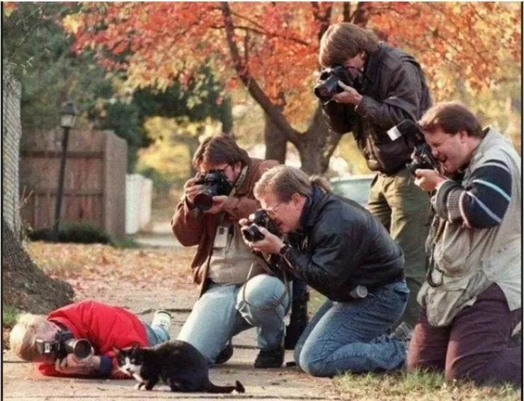 Picdump 873 - #42 