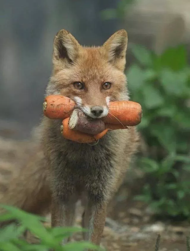 Picdump 873 - #49 