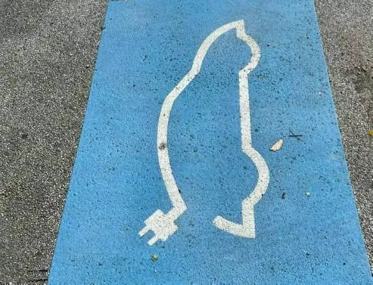 Picdump 873 - #7 