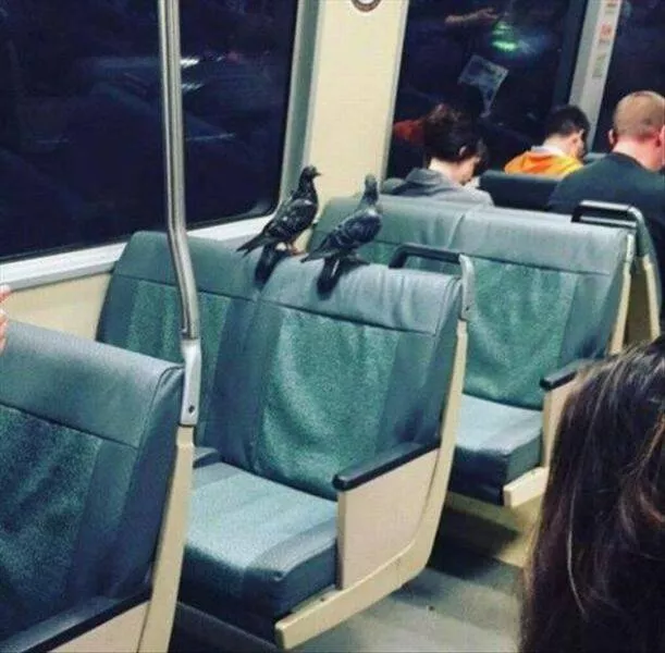 Picdump 874 - #12 