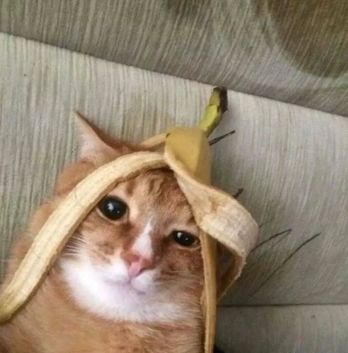 Picdump 874 - #17 