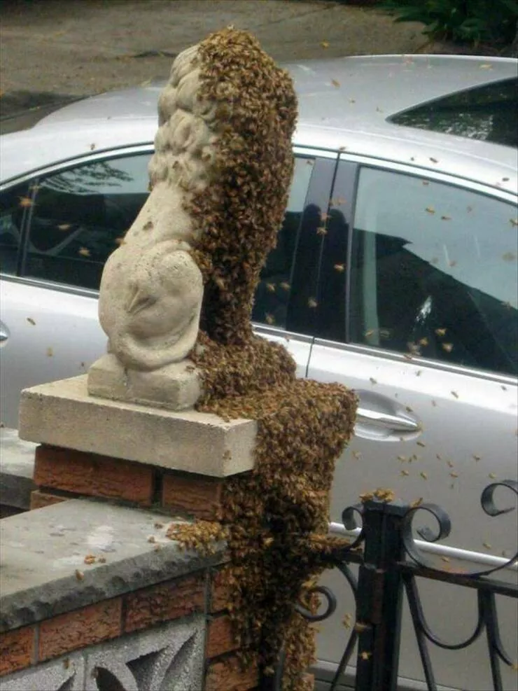 Picdump 874 - #19 