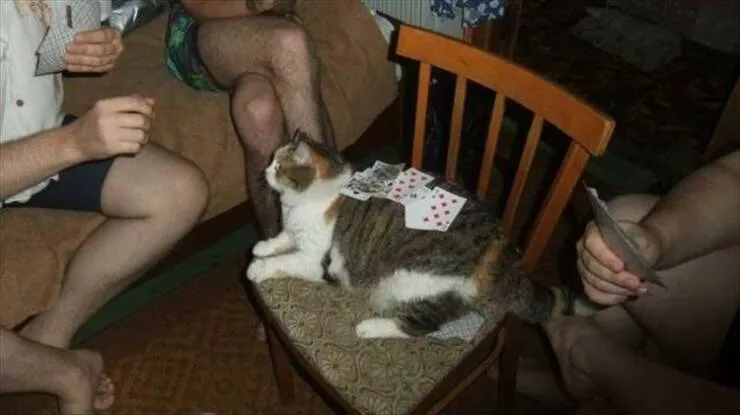 Picdump 874 - #2 