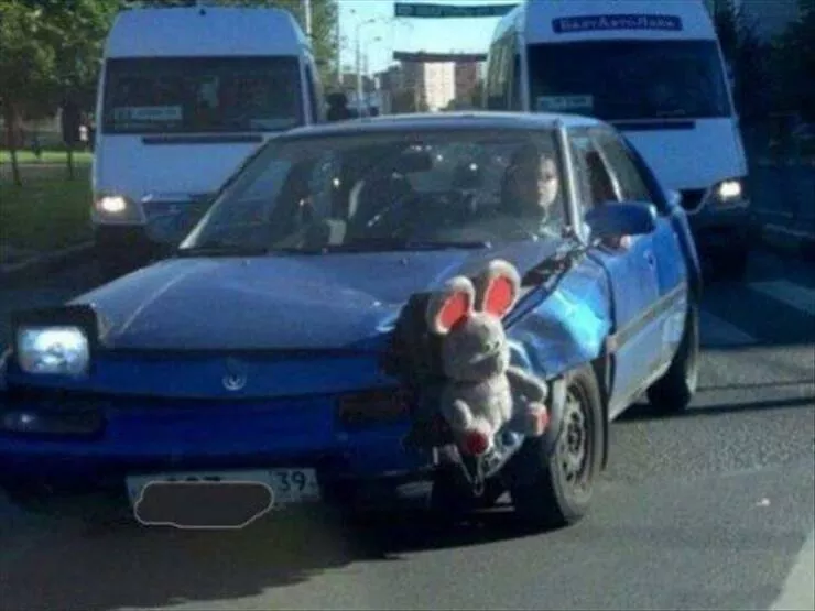 Picdump 874 - #5 