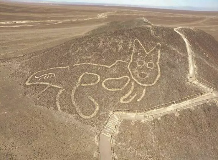 Oops adventures in unplanned outcomes - #2 A 2000-Year-Old Giant Cat Geoglyph Discovered 4 Months Ago Amid Peru's Famous Nazca Lines, a UNESCO World Heritage Site