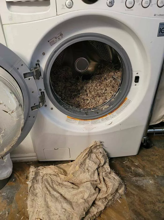 Quand les tentatives tournent au fiasco - #5 Mon copain a essayé de laver un oreiller en plumes