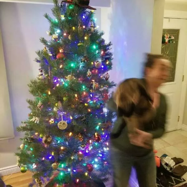 Oops adventures in unplanned outcomes - #7 Tried to Take a Nice Christmas Picture with My Cat
