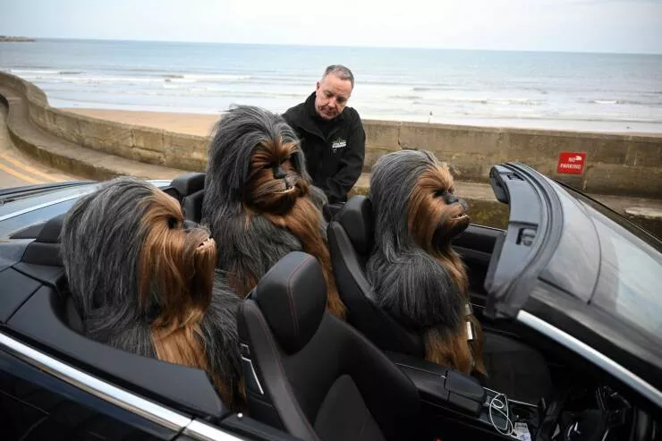 Picdump 875 - #23 