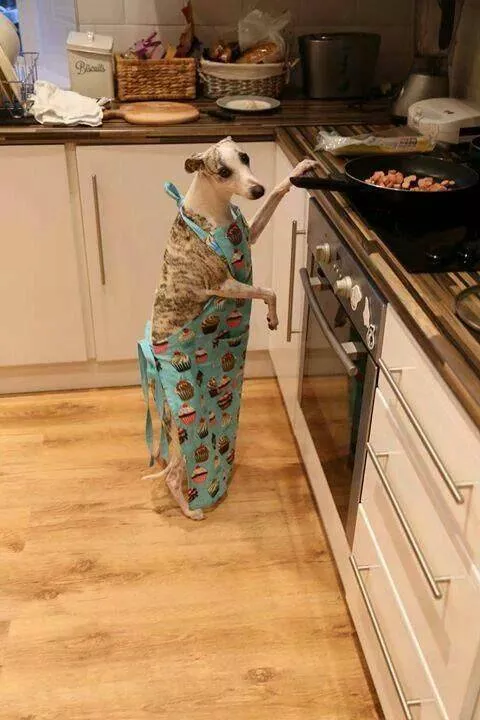 Picdump 875 - #4 