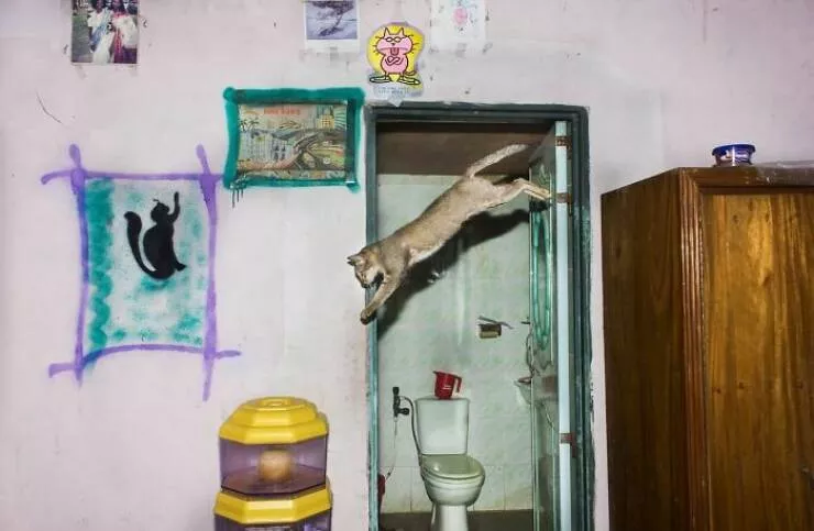 Photos de rue hilarantes a ne pas manquer - #28 