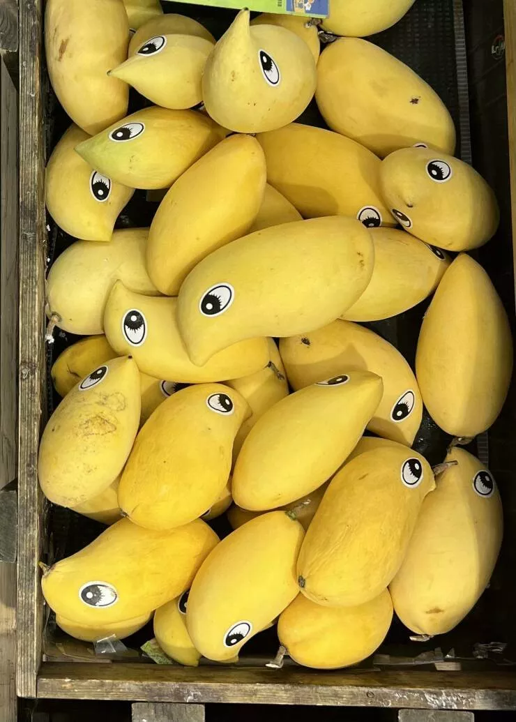 Picdump 876 - #43 