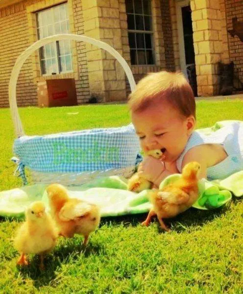 Picdump 877 - #15 
