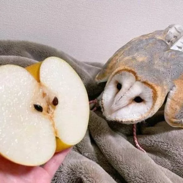 Picdump 877 - #30 