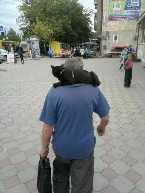 Picdump 877 - #49 