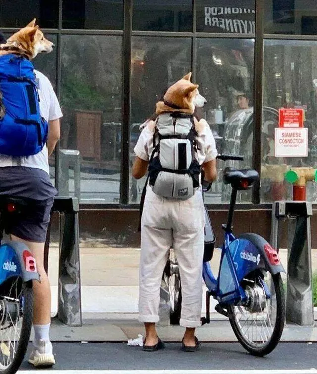 Picdump 877 - #7 