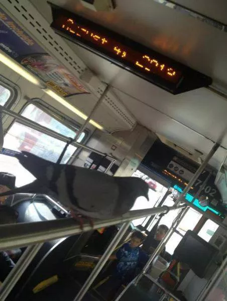 Top 42 most lazy people in the world - #28 