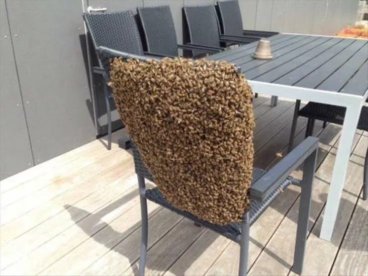 Picdump 878 - #12 